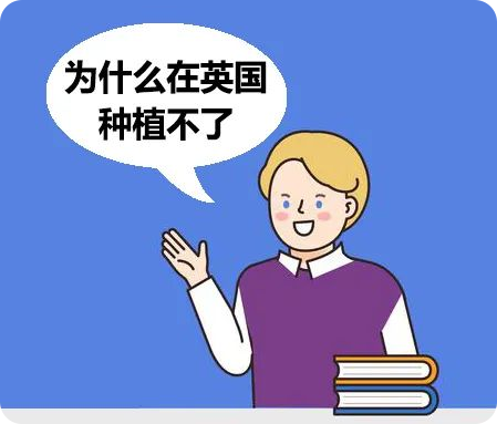 未標(biāo)題-3.png